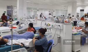 Đình chỉ hoạt động cơ sở cung cấp thức ăn sau vụ gần 80 học sinh nghi ngộ độc