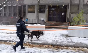Canada: Hai trường học Do Thái ở thành phố Montreal bị nã súng