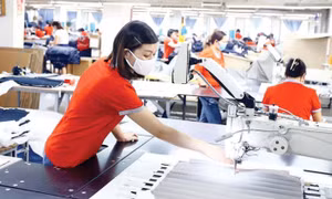 Phê duyệt Chương trình quốc gia về tăng năng suất lao động