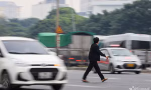 Khi nào người đi bộ vi phạm luật giao thông bị phạt tù?
