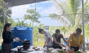 Thúc đẩy bình đẳng giới bền vững