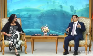 Tạo động lực tăng cường hợp tác kinh doanh, thương mại và đầu tư giữa Việt Nam và Brazil