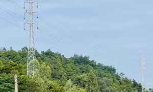 Nhiều dự án lưới điện 110kV có nguy cơ chậm tiến độ
