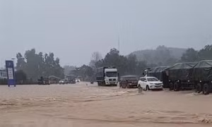 Phía Đông Bắc Bộ có mây, ngày nắng, đêm không mưa; gió nhẹ