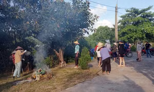 Nhiều mô hình, phần việc, hướng về cơ sở