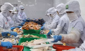 “Sức khỏe” ngành sản xuất phục hồi tích cực