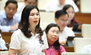Luật Đất đai (sửa đổi) nên quy định tiêu chí căn bản, không quy định cứng
