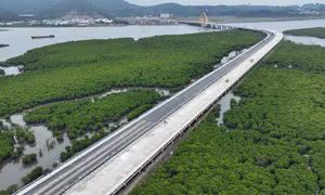Nước rút hoàn thành cầu Cửa Lục 3