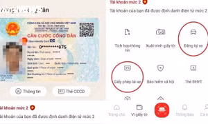 Khi nào được sử dụng VneID thay cho bằng lái xe, giấy tờ xe?