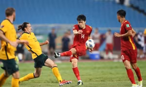 Cay đắng cho Hoàng Đức