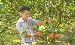 Phát triển bền vững hợp tác xã nông nghiệp