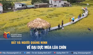 Về Đại Dực mùa lúa chín