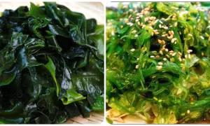 Công dụng của rong biển ít người biết