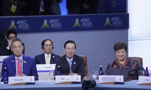 Chủ tịch nước Võ Văn Thưởng dự Hội nghị các Nhà Lãnh đạo các nền kinh tế APEC