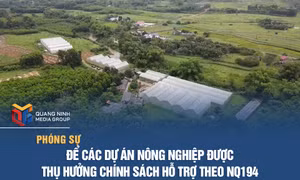 Để các dự án nông nghiệp được thụ hưởng chính sách hỗ trợ theo NQ194
