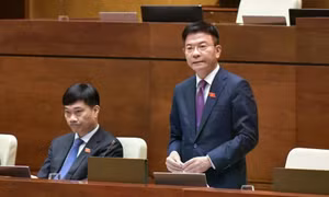 Đại biểu Quốc hội 'hiến kế' loại bỏ tình trạng bỏ cọc trong hoạt động đấu giá