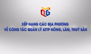 Xếp hạng các địa phương về công tác quản lý ATTP nông, lâm, thuỷ sản