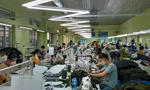 Dệt may "vượt đáy" thị trường