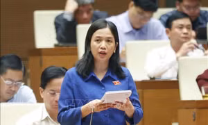 Chú trọng phát triển lưu trữ tư nhân