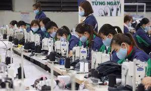 Mỗi lao động Việt Nam làm ra gần 172 triệu đồng một năm
