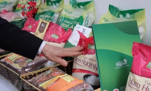 CPI tháng Tám tăng 0,88%: Do xăng, dầu và lương thực lên giá