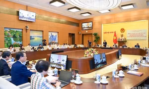 Hôm nay, Thường vụ Quốc hội chất vấn hai nhóm vấn đề tư pháp, nông nghiệp