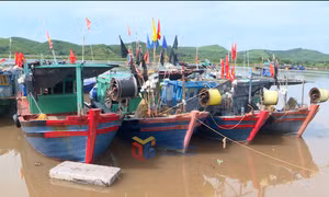 Hải Hà: Tập trung triển khai các giải pháp khắc phục lỗi cảnh báo về IUU