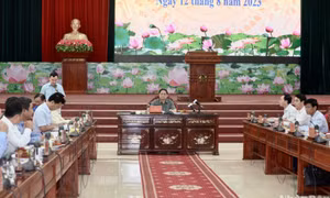 Nỗ lực tìm giải pháp khắc phục sớm tình trạng sạt lở ven sông, ven biển vùng Đồng bằng sông Cửu Long