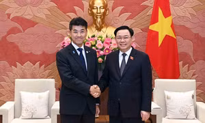 Chủ tịch Quốc hội Vương Đình Huệ tiếp Chủ tịch Đảng Dân chủ Lập hiến Nhật Bản