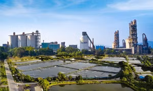 Gắn sản xuất với bảo vệ môi trường bền vững  