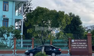 Nhiều vị trí chủ chốt là người nhà Chủ tịch công ty Sông Chu xin thôi nhiệm vụ
