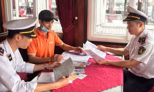 Ứng dụng CNTT, hiện đại hoá hoạt động quản lý cảng, bến 
