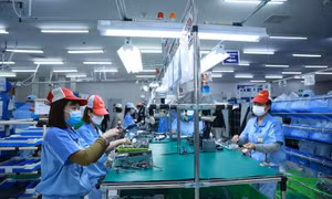 Đã rút bảo hiểm xã hội 1 lần, lao động có được nhận chế độ thai sản?