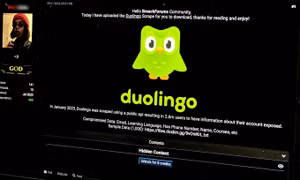 Dữ liệu 2,6 triệu người dùng DuoLingo bị hacker 'cho không'