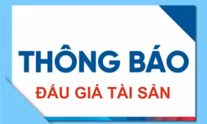 Trung tâm Truyền thông tỉnh thông báo lựa chọn đơn vị tổ chức đấu giá tài sản