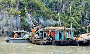 Lập lại trật tự giao thông đường thủy, vệ sinh môi trường ven bờ Vịnh Hạ Long