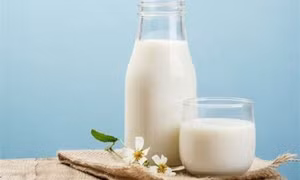 Uống sữa tươi như thế nào mới an toàn cho sức khỏe?