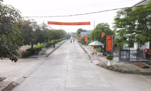 Diện mạo mới của Tiên Lãng