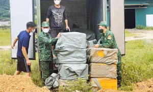 Vận chuyển gần 500kg nầm lợn không rõ nguồn gốc