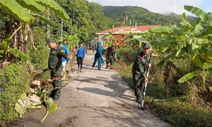 Trợ lý tham mưu nhiệt huyết với công việc 