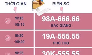 Hôm nay, lần đầu tiên đấu giá trực tuyến biển số xe ôtô