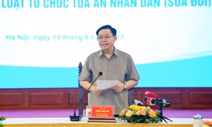 Xây dựng nền tư pháp chuyên nghiệp, hiện đại, nghiêm minh, liêm chính