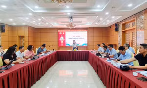 Hội nghị thông tin báo chí thường kỳ