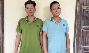 Hai đối tượng trộm hàng trăm gốc sâm Ngọc Linh