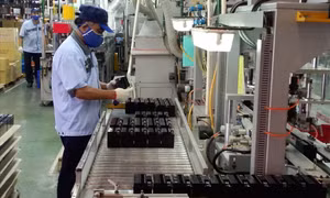 Trường hợp được xác định là đang đóng bảo hiểm thất nghiệp
