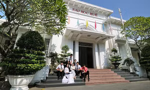 Dự kiến có 6 đại học vùng