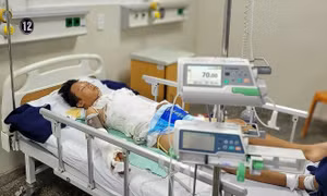 Trèo cột điện cao thế bắt chim, thiếu niên bị điện giật nguy kịch 