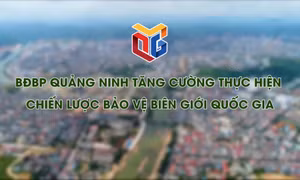 BĐBP Quảng Ninh tăng cường thực hiện Chiến lược bảo vệ biên giới quốc gia