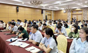Tập huấn nghiệp vụ ngành KH&ĐT năm 2023