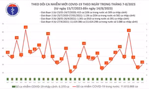 Ngày 14/8: Có 20 ca COVID-19 mới, 1 bệnh nhân đang thở oxy